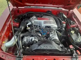 20210730_082046.webp