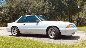 Mustang 8.webp