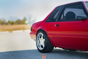 4350D0B5-9615-436E-B389-BFFE257962AE.webp