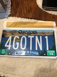 Lic Plate.webp