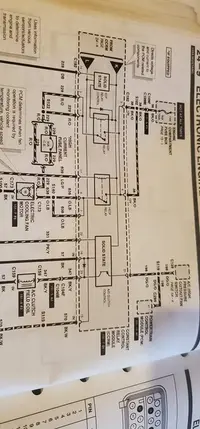 235369537_423200762451917_7401593493075562756_n.webp