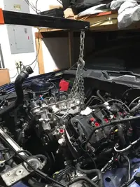stang 2.jpg stang 2.jpg