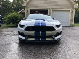 shelby 1.webp