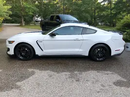 shelby 7.webp