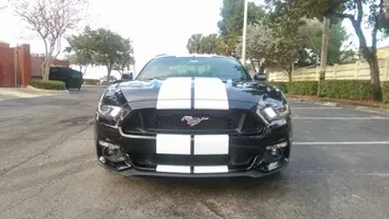IMAG0508.webp