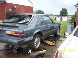 000_0571.webp