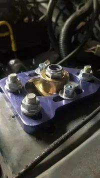 new camber caster.webp