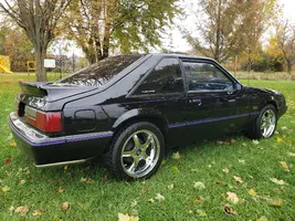 Mustang at park.webp