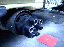 1637321001968.gif