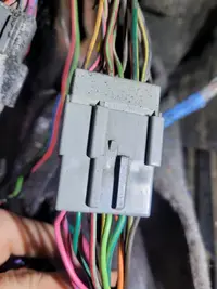 5.0 wiring 32.webp