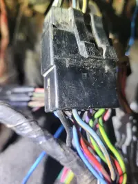 5.0 wiring 24.webp