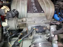 5.0 wiring 37.webp