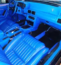 78B64278-DD4D-444D-ABD5-0CA1041C4D61.webp
