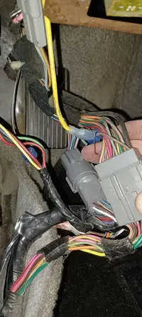 271390973_462100845270435_2349845252464543797_n.webp