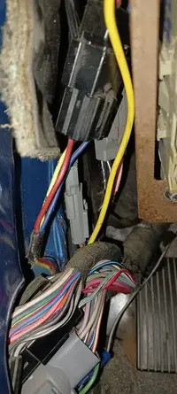 271567890_1199177807280944_2314916483589388233_n.webp