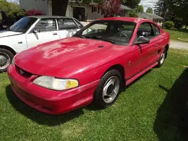 DSCF0155.webp