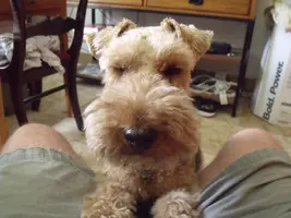 DSCF0539.webp
