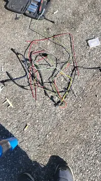 16507188470696667630356648122149.webp