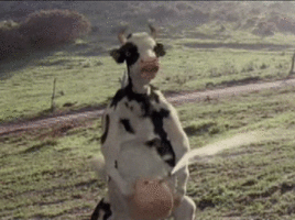 uselessha.gif