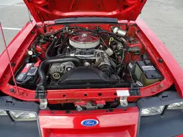 520jjj.webp