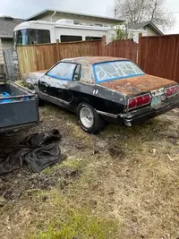Car.webp
