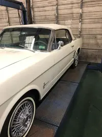 66Mustang3.webp