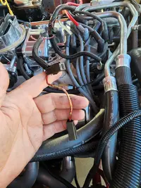 Mystery Wire 2.webp