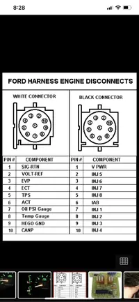 0E798528-5D9F-4B9B-9AD8-531846B7A72B.webp