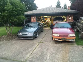 E6FEF119-11B0-4E32-95E9-93AD3B9EA28F.webp