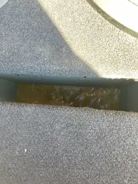 64CF9D22-2787-47F3-8237-3225994E1541.webp