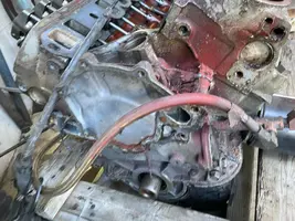 image0.webp