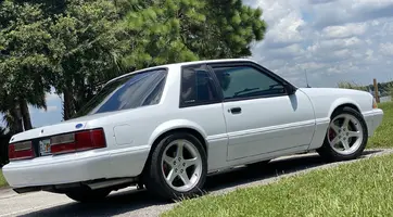 Mustang 4.webp