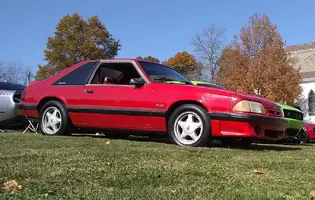 mustang555.webp