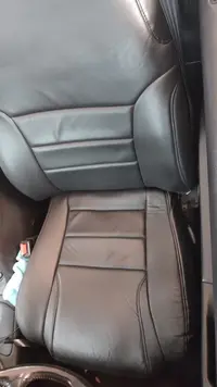 mustang seat.webp