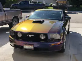 stang1.webp