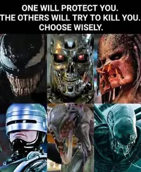 335454224_965729258134375_2437346531477354715_n.webp