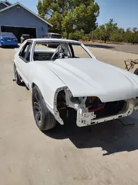 Mustang 124.webp