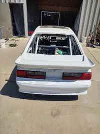 Mustang 122.webp