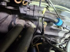 EngineGround-resized.webp