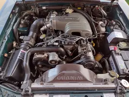 IMG_20230816_152411817_HDR.webp