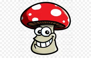 1692498726226.webp