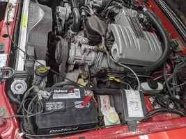 mustangeng.webp