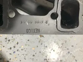 IMG_1822.webp
