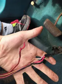 NSS wires.webp