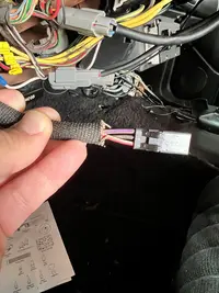 Mustang Wire 1.webp