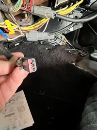 Mustang Wire 2.webp