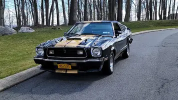 Cobra_Exterior(27).webp