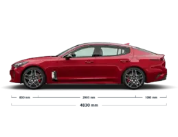 Stinger Dimensions MM.webp