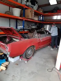 IMG-20240420-WA0005.webp