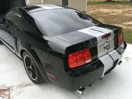 IMG_3398.webp